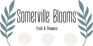 Somerville Blooms Florist logo